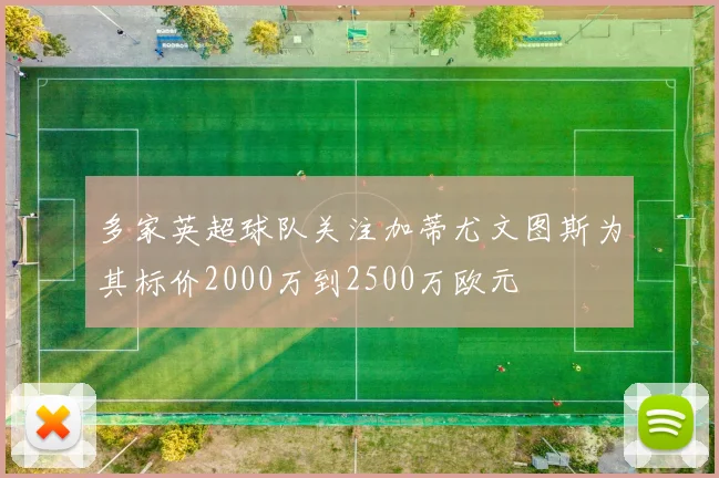 多家英超球队关注加蒂尤文图斯为其标价2000万到2500万欧元